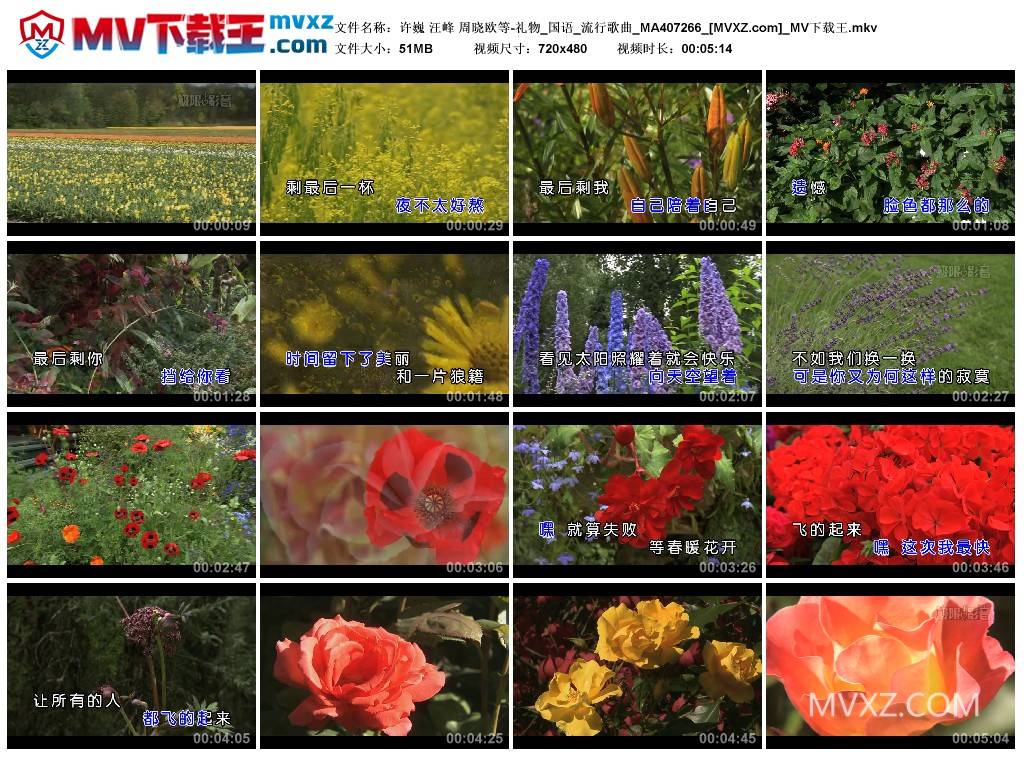 许巍 汪峰 周晓欧等-礼物_国语_流行歌曲_MA407266